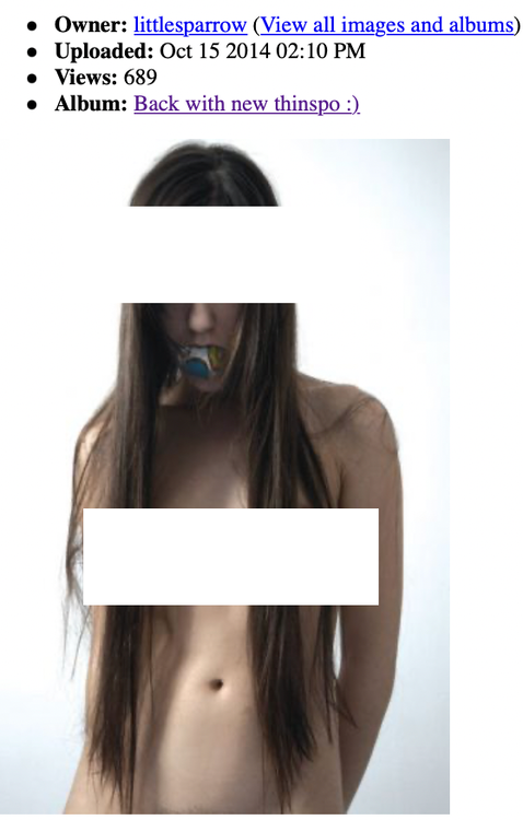 -littlesparrow2copy.thumb.png.30bf592e27b637eda234c9f5d4b2d429.png