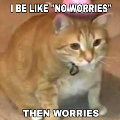 Top100CursedCatImagesCursedCatPhotosCursedCatPicturesCursedCatCursedImages.png.21be52f4115ab375e7b46bf383359774.png