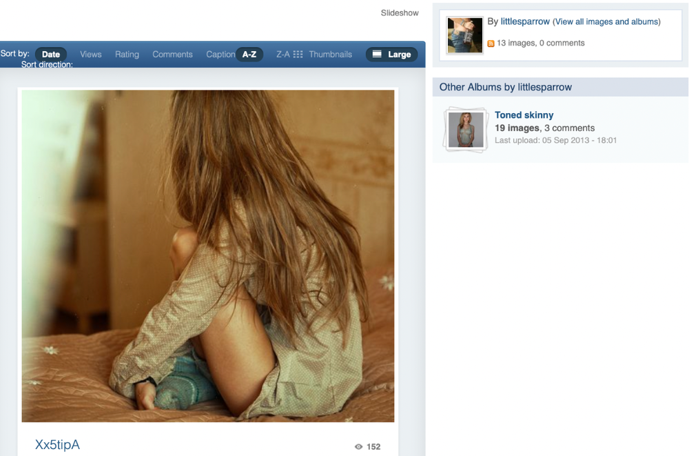 littlesparrow.thumb.png.e2176380dedb7f2ebe6e9b94c7380016.png