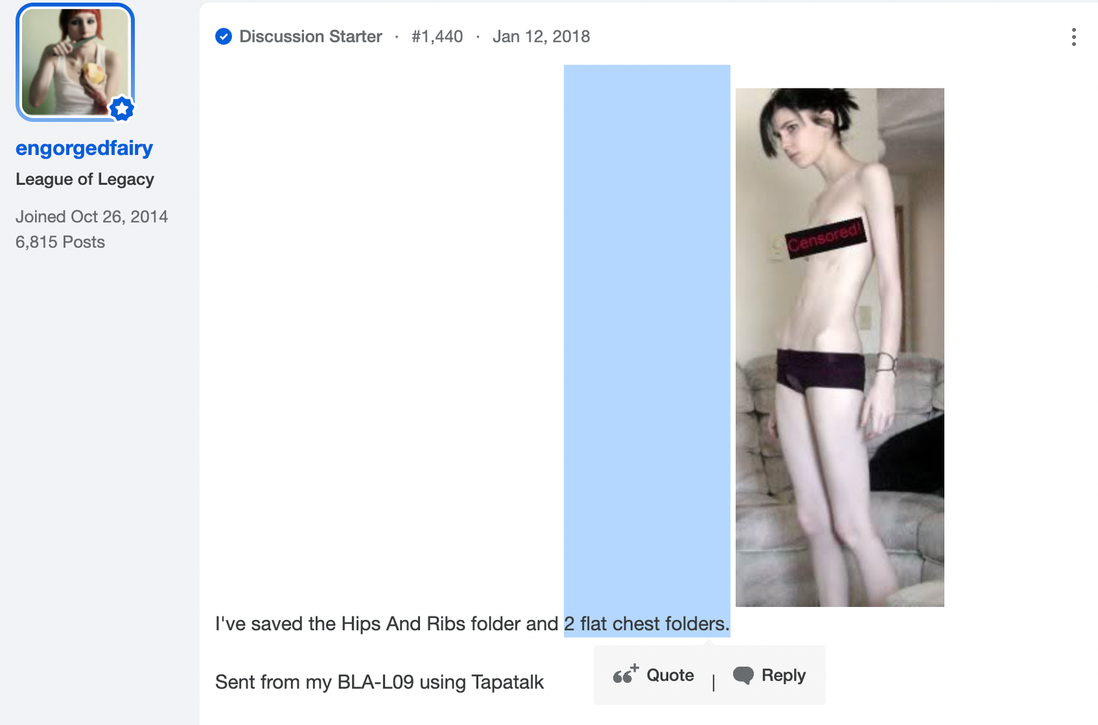 2flatchestfoler.png.b040be827b3f42491e627212a04aacf6.png