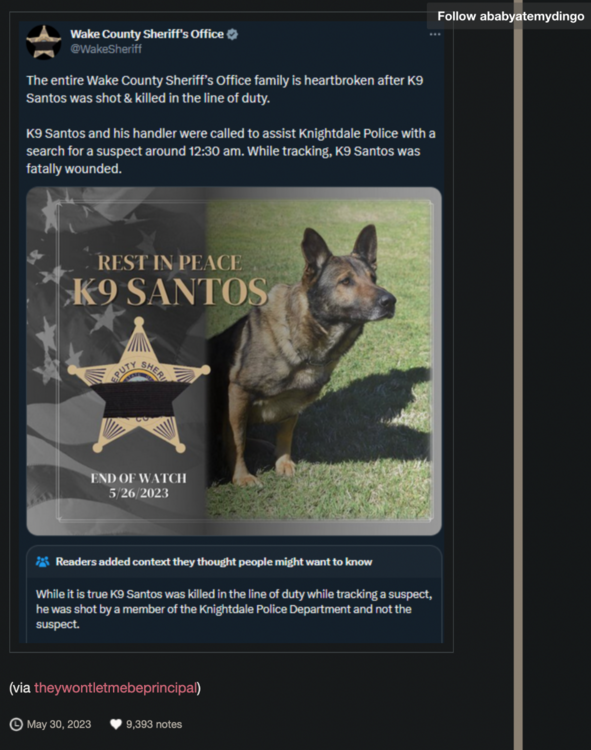 image.png.7bc7c25ab0df7907a81138234a954c1f.png